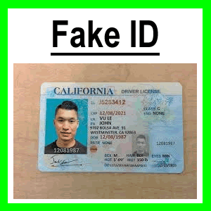 creating a fake id