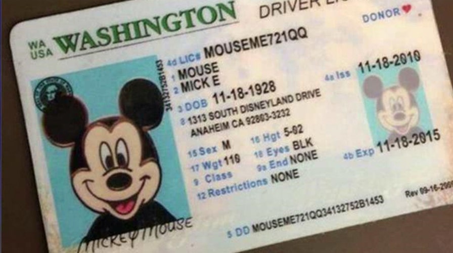 do fake ids work at disney