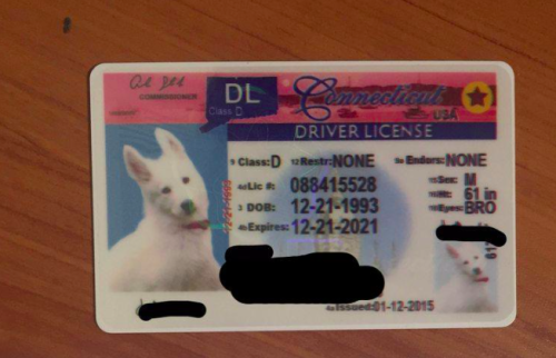 dog fake id