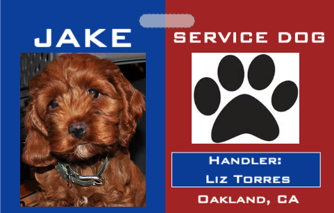 dog fake id