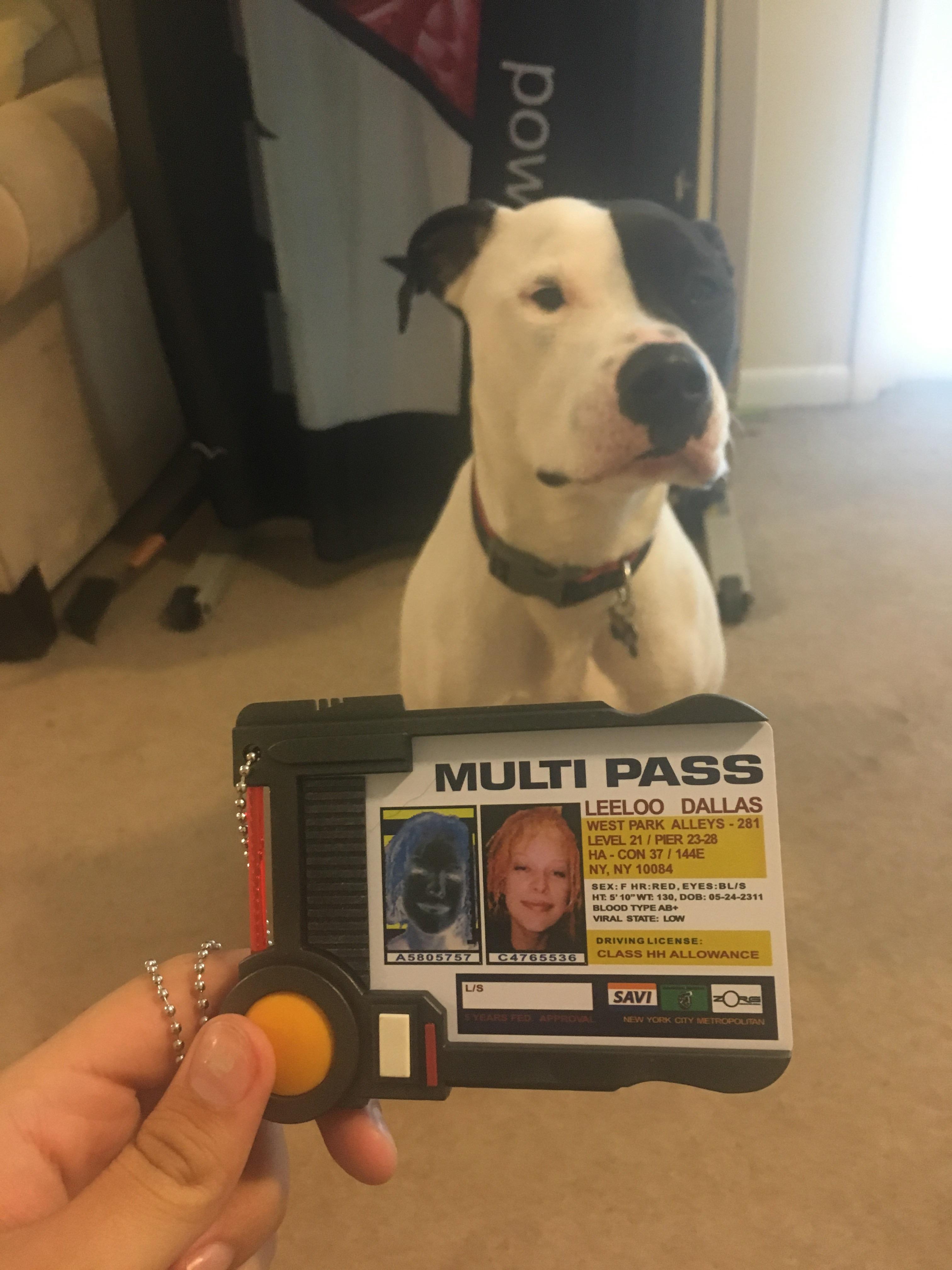 dog fake id