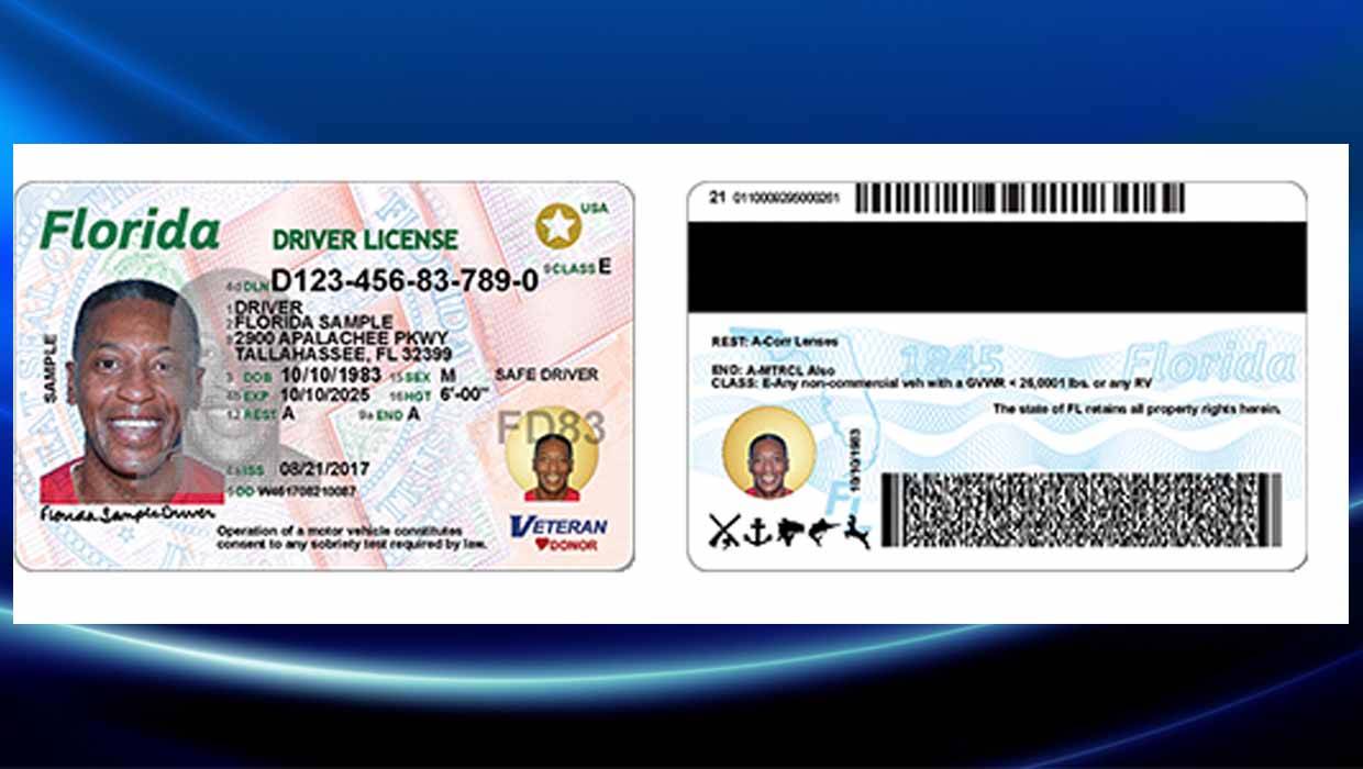 driver license fake id front and back