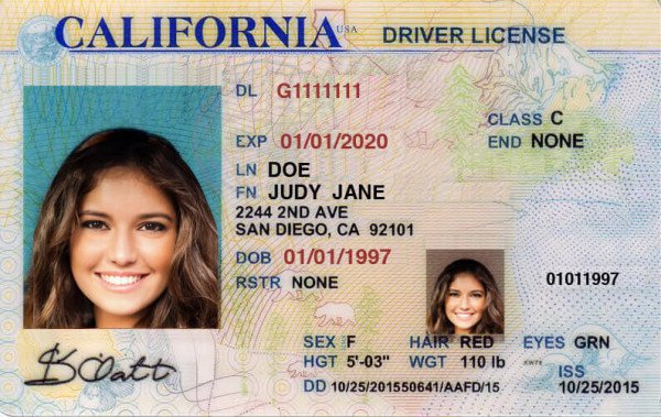 driver license fake id front and back