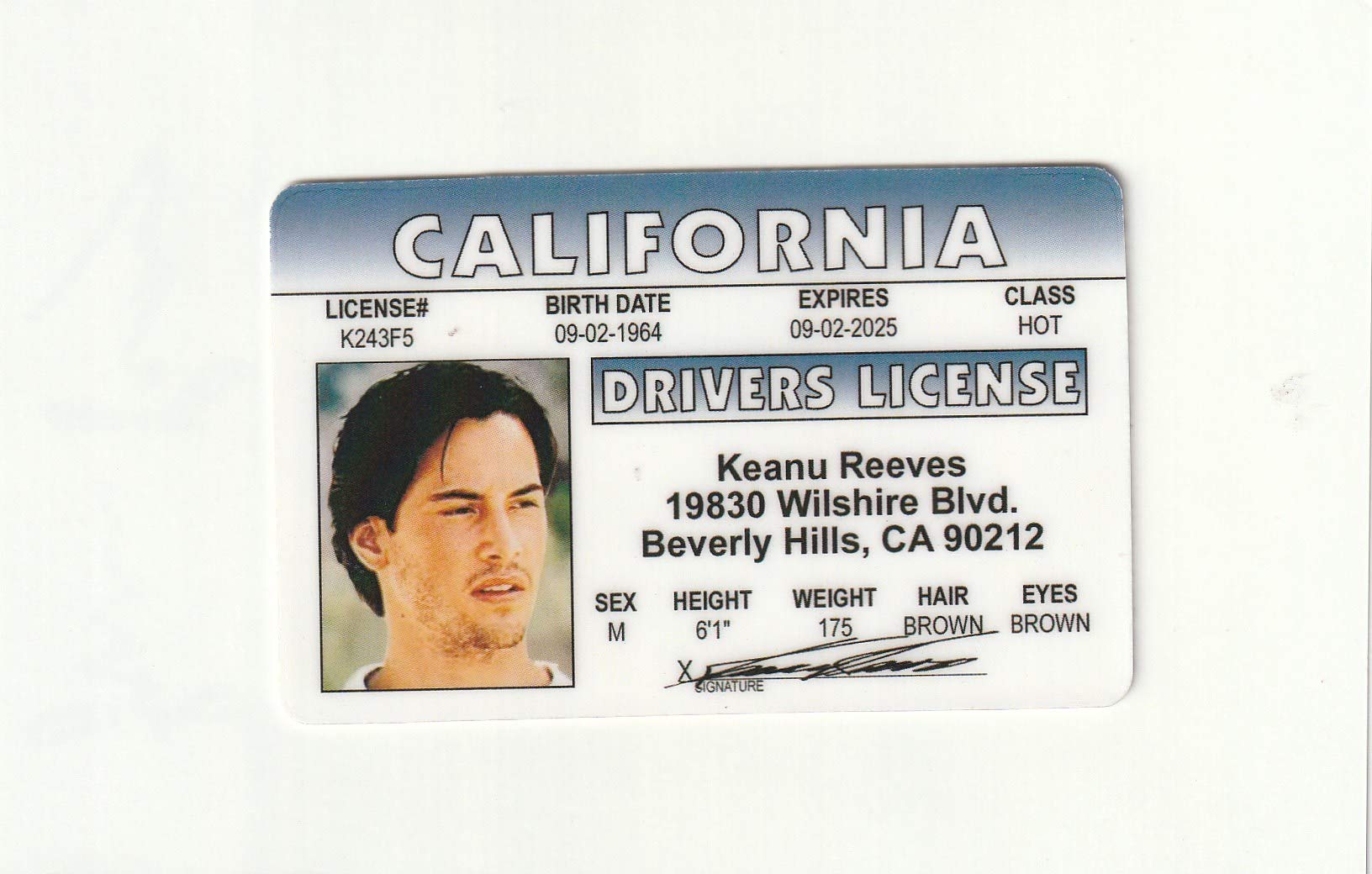 driver license fake id