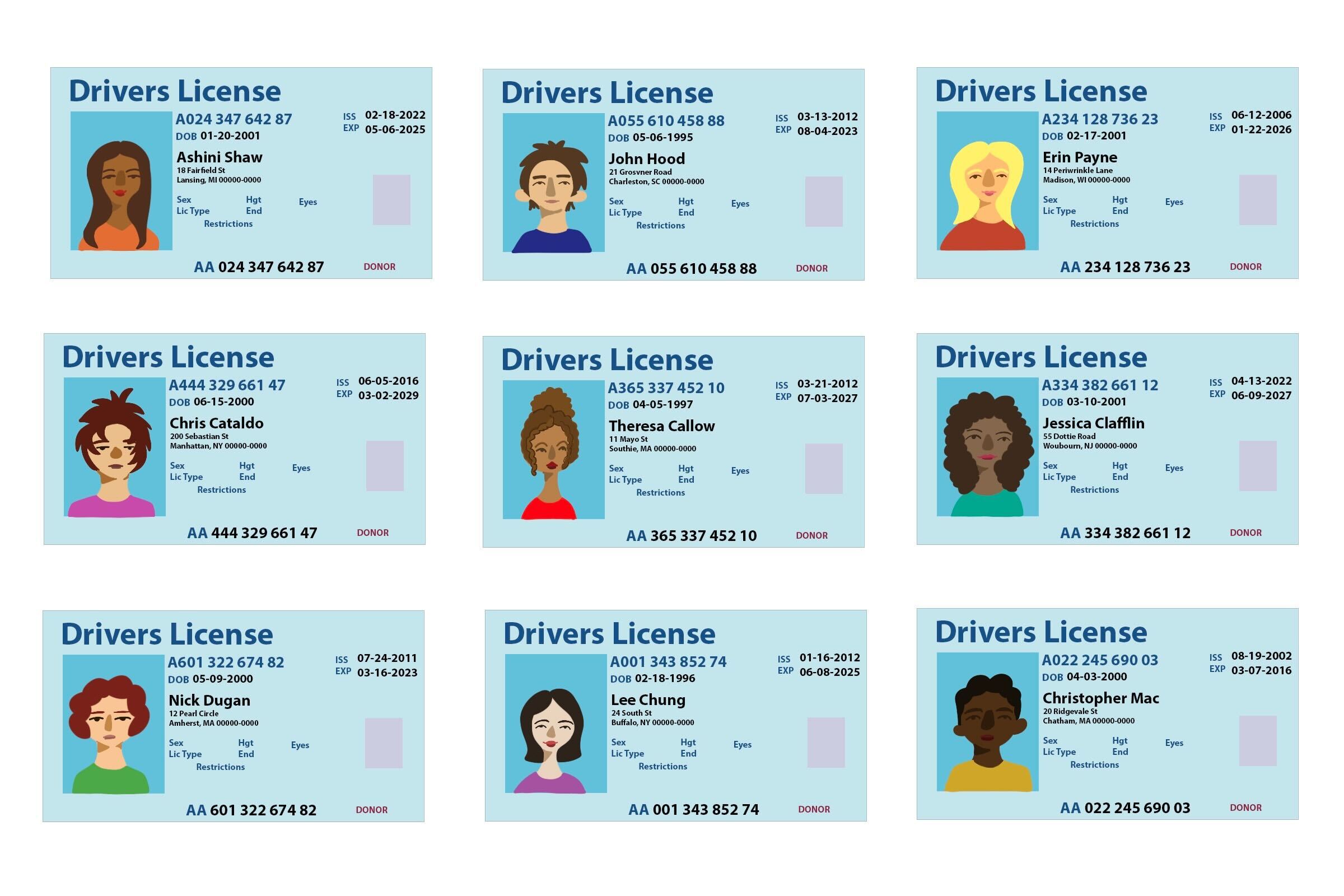 easiest ids to fake