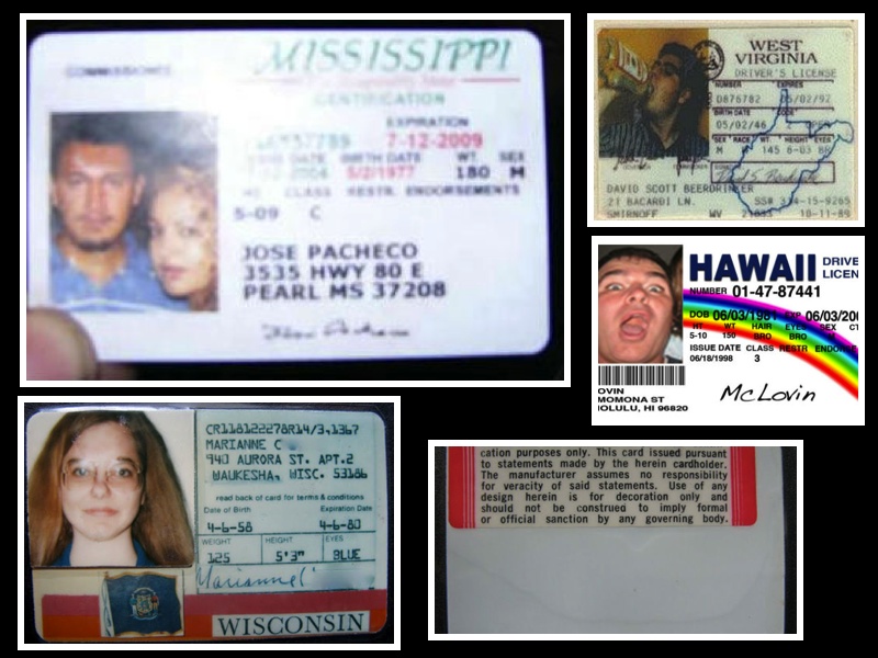 elite ids fake id