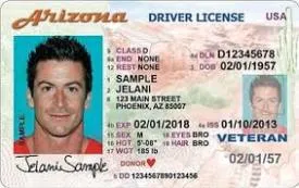 examples of fake ids