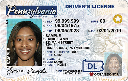 fake adult id