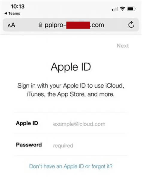 fake apple id code text