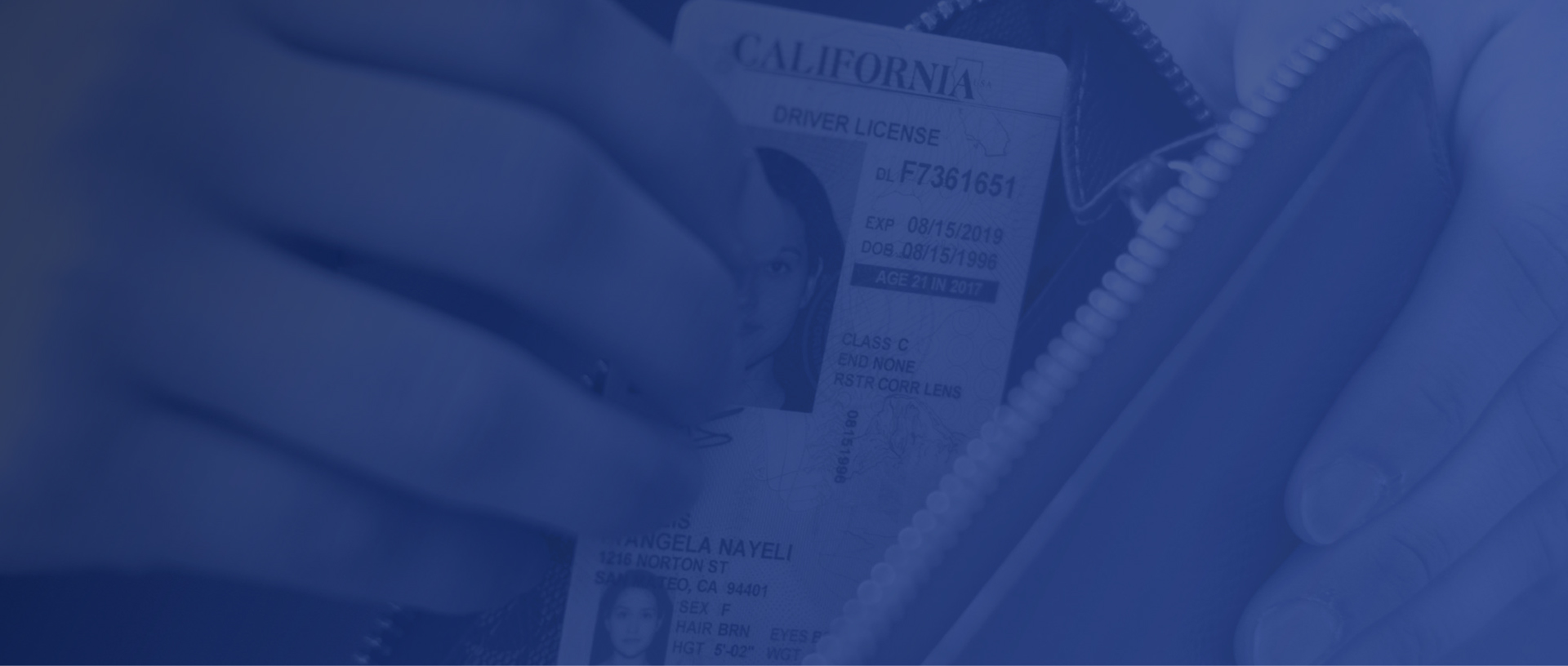 fake ca id