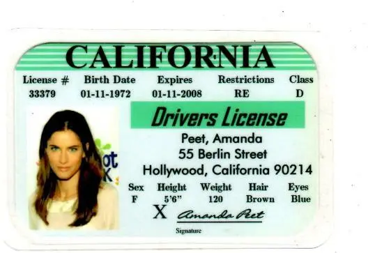 fake ca id