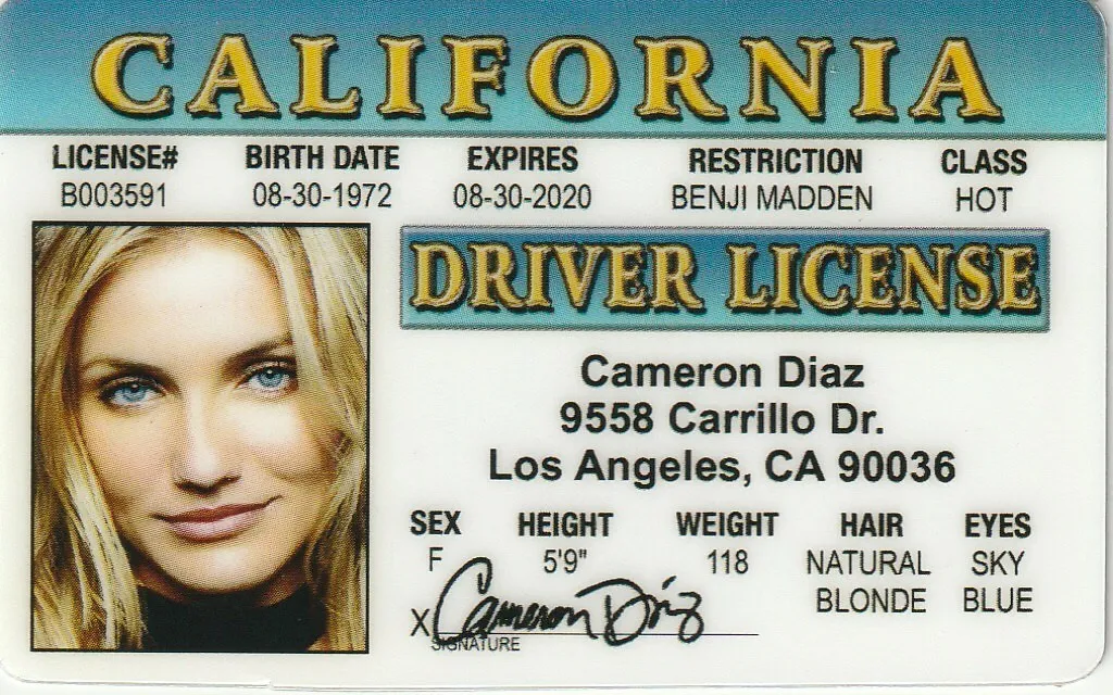 fake ca id