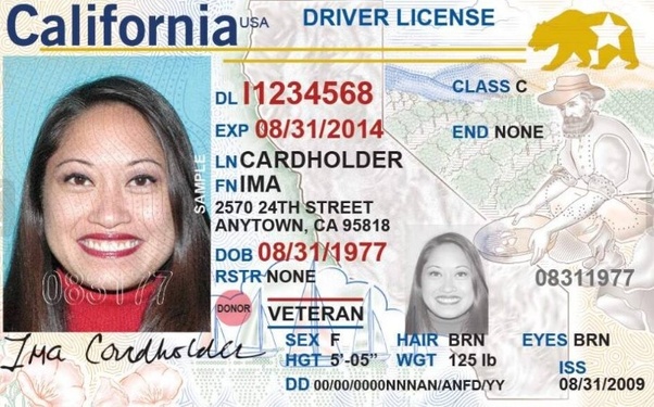 fake california id generator