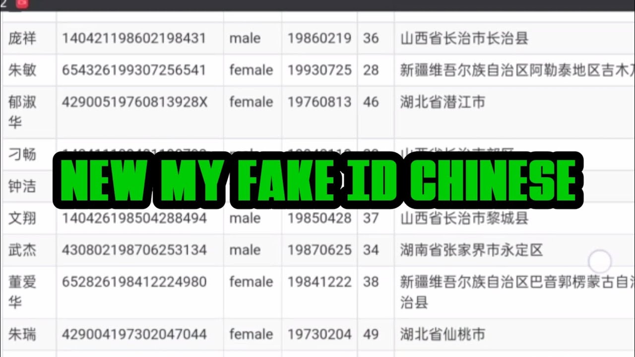 fake china id generator