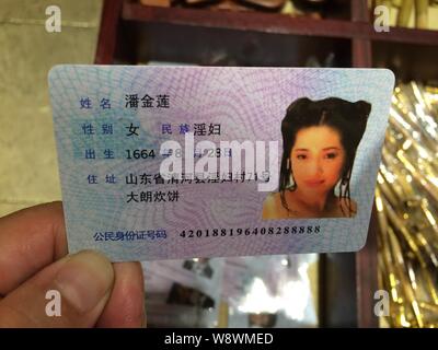 fake china id