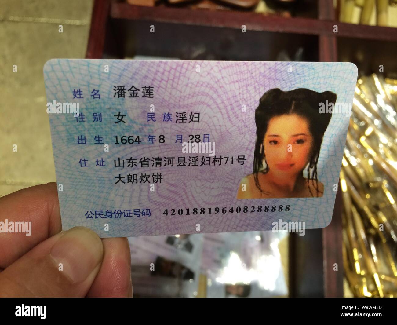 fake chinese id card number