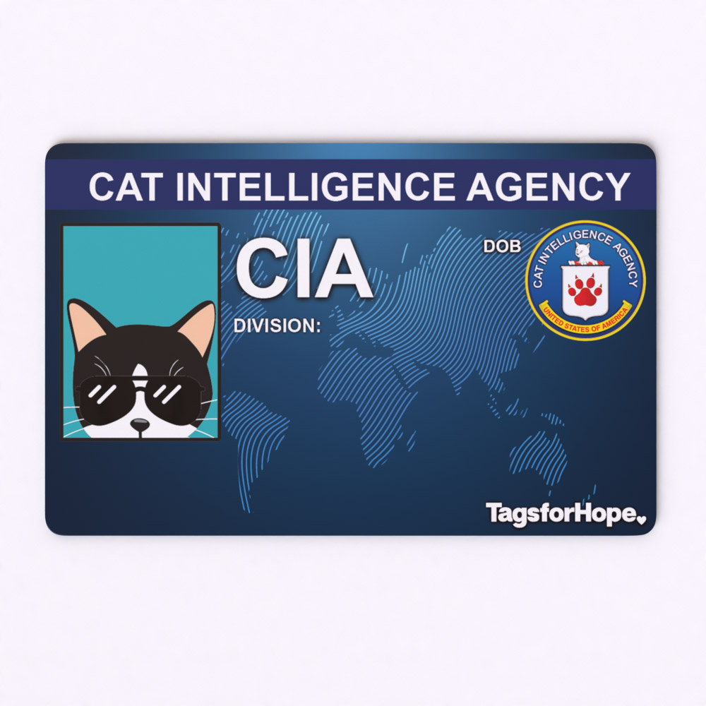 fake cia id