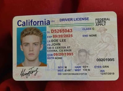 fake colorado id