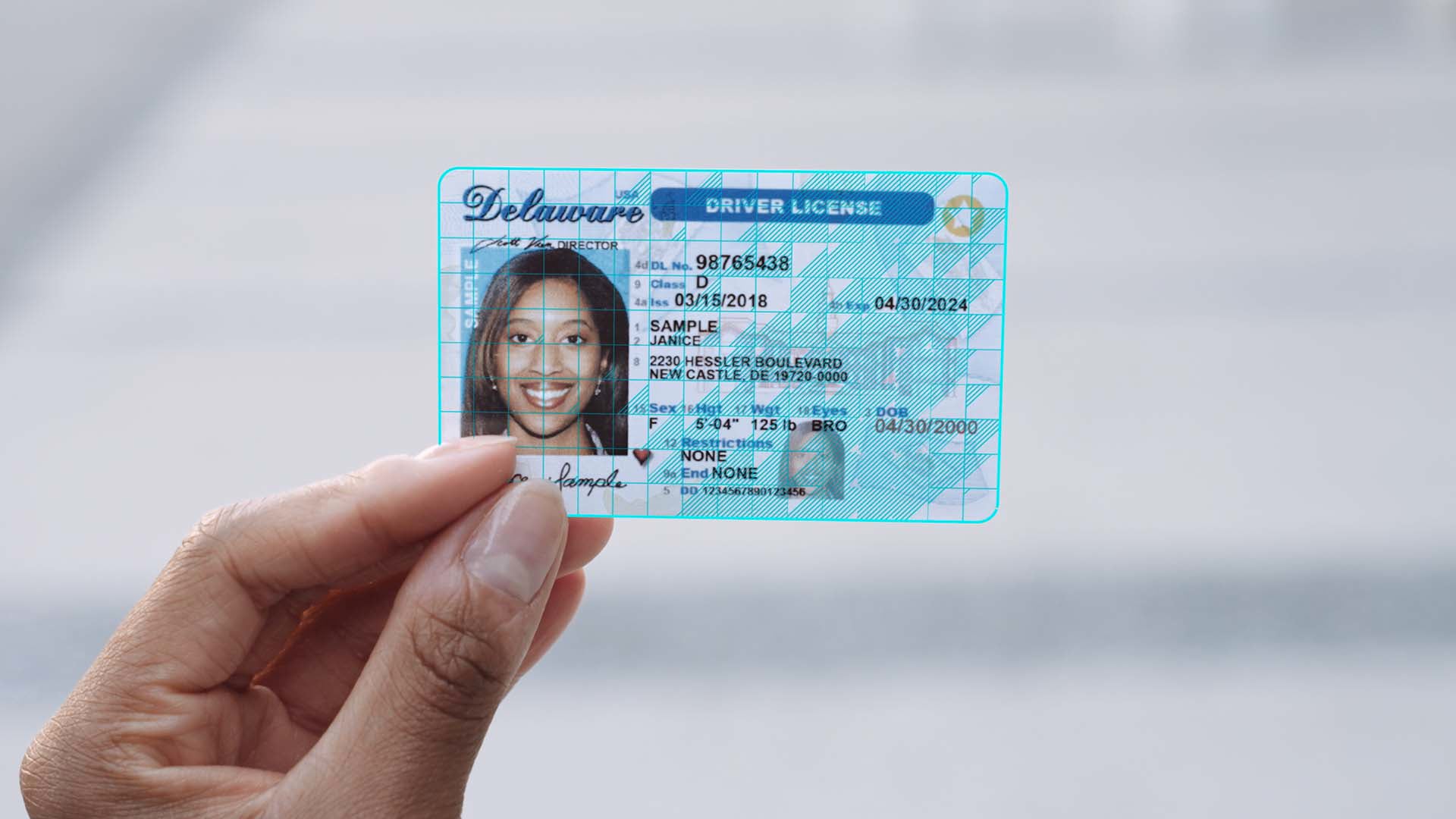 fake delaware id