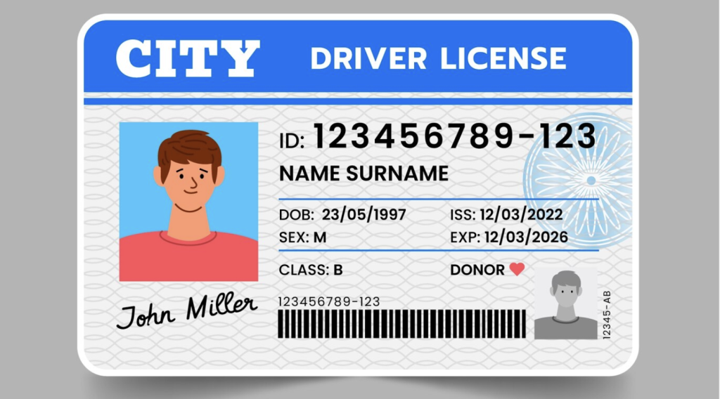 fake dl id