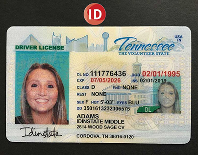 fake dl id