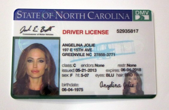 fake driver id