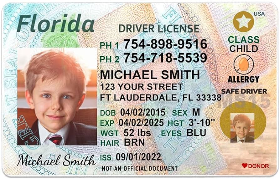 fake driver license id