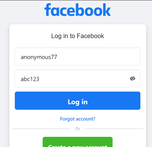 fake facebook id and password