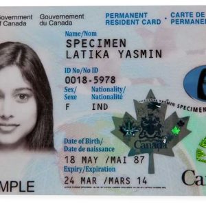 fake france id