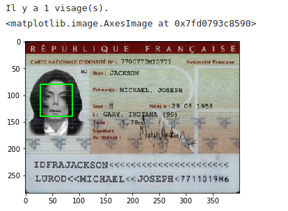 fake french id template