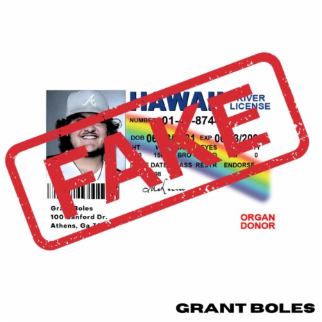 fake ga id