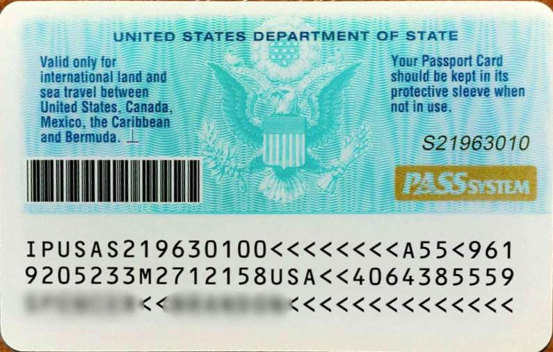 fake government id