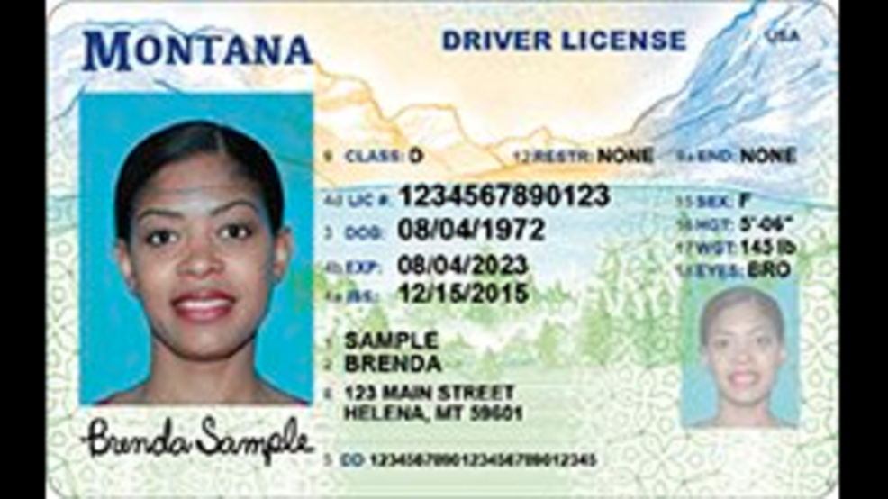 fake government id