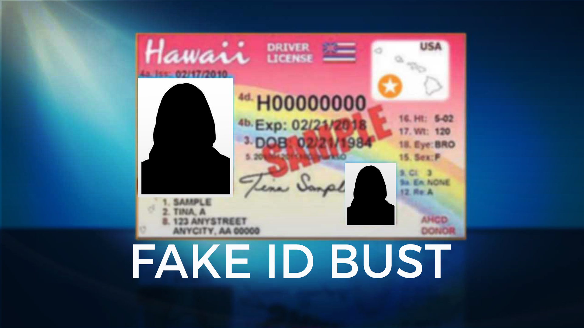 fake hawaii id