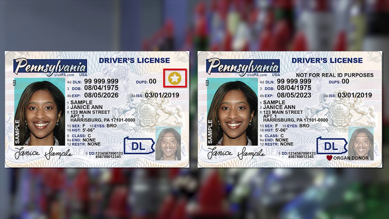 fake id and real id