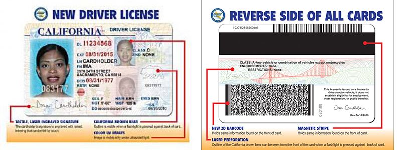 Fake Id Back Side - Buy Scannable Fake ID Online - Fake Drivers License