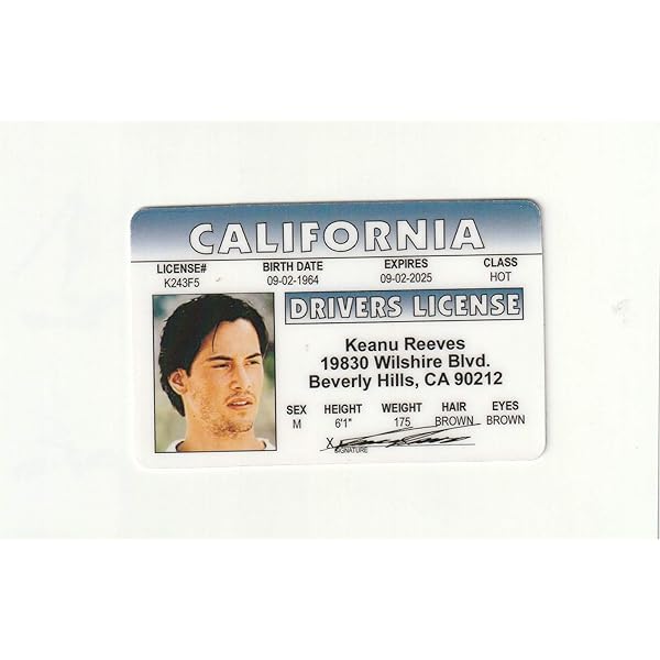 fake id backside