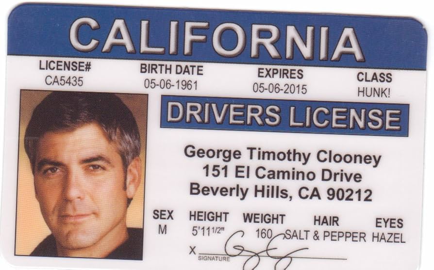 fake id card drivers license