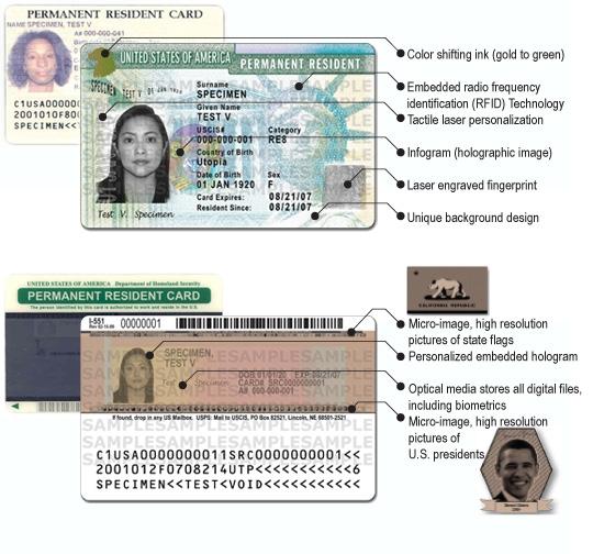 fake id card for verification