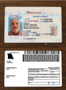 fake id card front and back