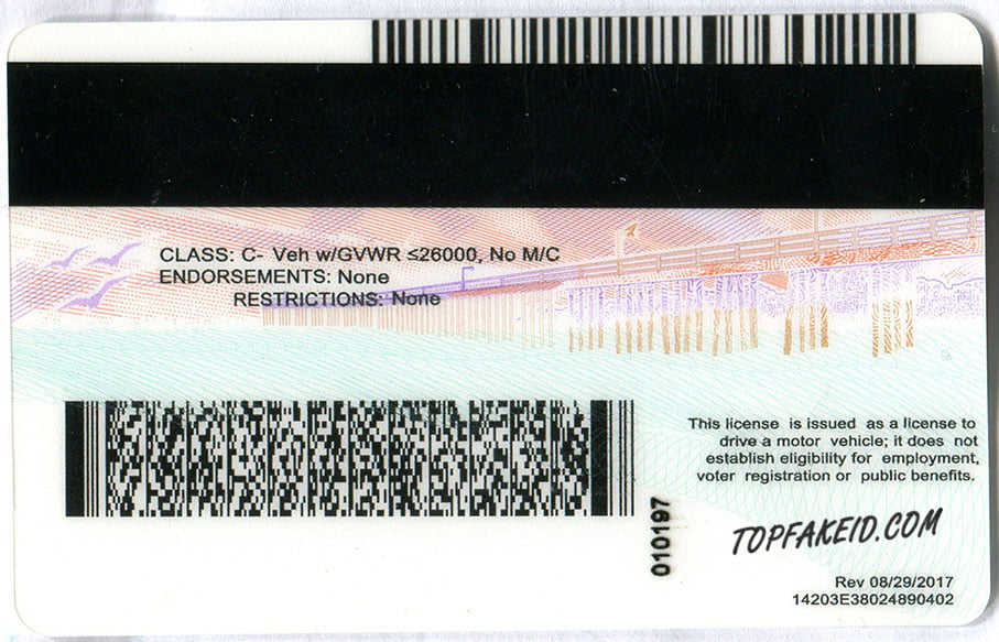 Fake Id Card Front And Back