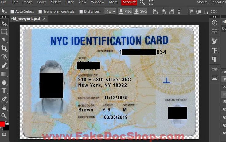 fake id card photoshop template