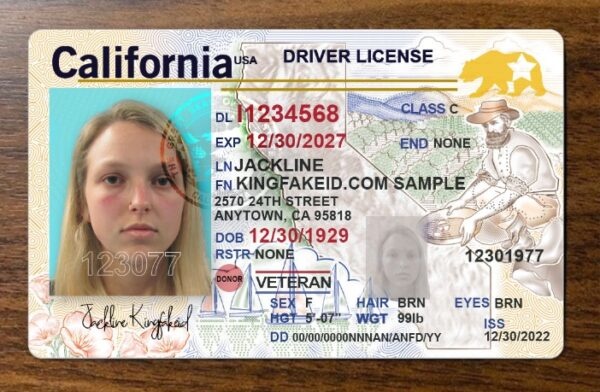 fake id card pics