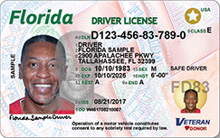 fake id charges florida