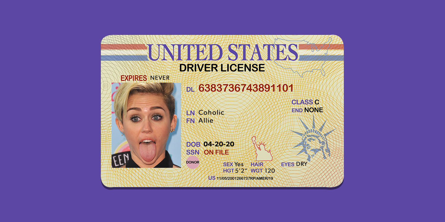 fake id drivers license number