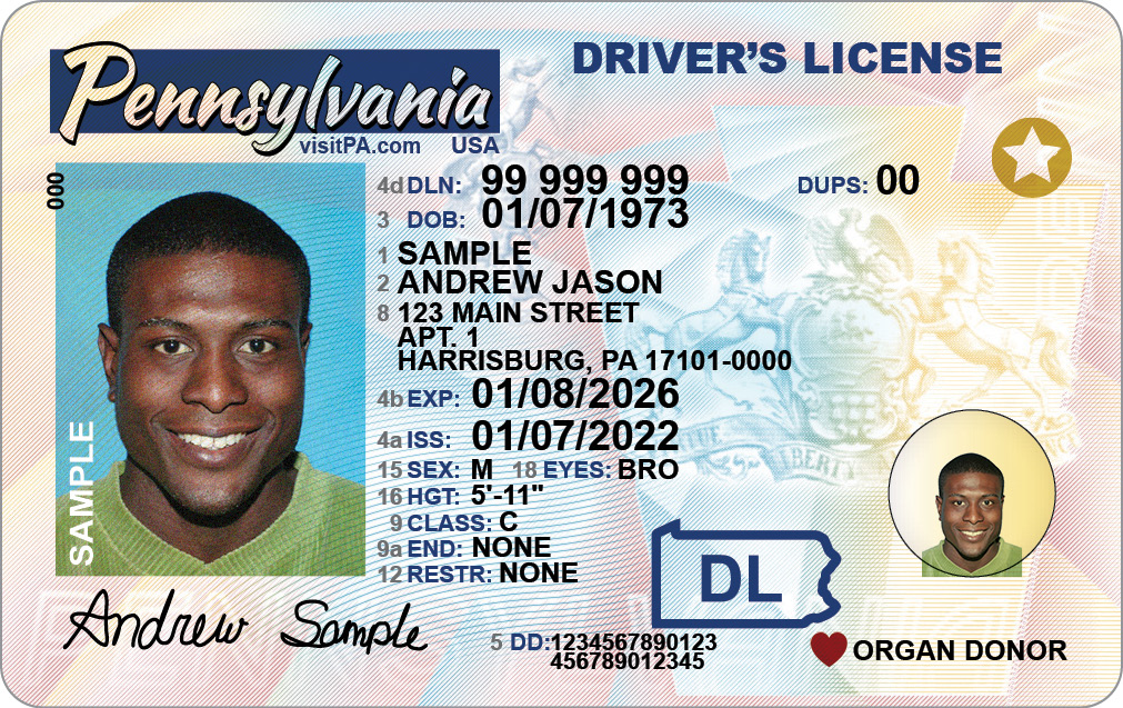 fake id examples