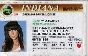 fake id examples