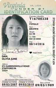 fake id examples