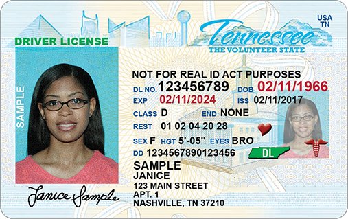 fake id examples