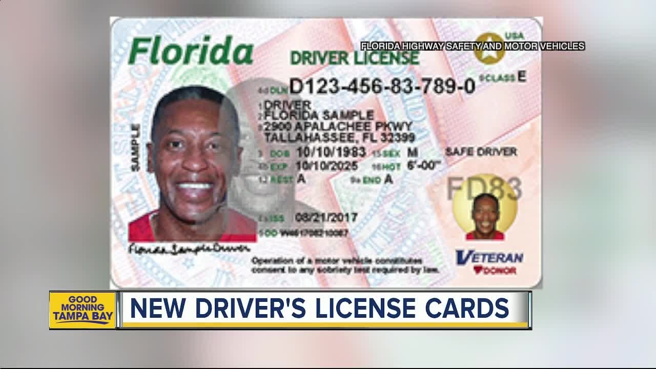 fake id florida law